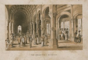 Allgemeine Ansicht des Aquariums in Brighton von English School