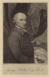 George Stubbs von English School