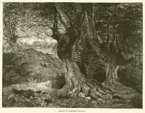 Lichtung in Burnham Beeches