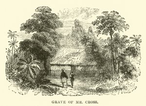Grab von Mr. Cross von English School