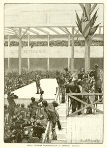 Große unionistische Demonstration in Belfast, 1890 von English School
