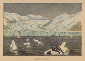 Grönland-Gletscher von English School