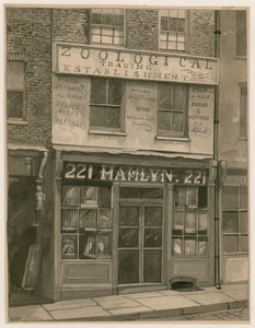 Hamlyns Zoological Trading, 221 St Georges Street, London Docks