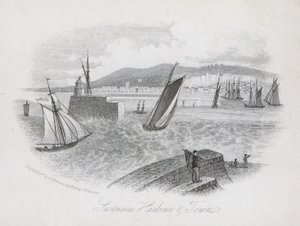 Hafen und Stadt, Swansea, Wales (Gravur) von English School