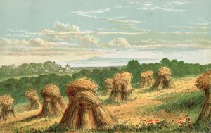 Ernte