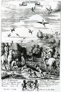 Herne beim Beizjagen, aus 