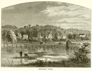 Highgate-Teiche von English School