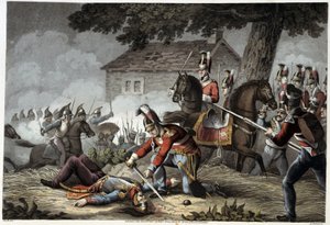Horse Guard auf dem Schlachtfeld von Waterloo in „Historical, military and naval anecdotes and incidents that arrived at the British Armies and their allies, ending at Waterloo“ von Edward Orme. Illustriert von Fry, Sutherland, Clark, Dubourg, W.Heart, JA,