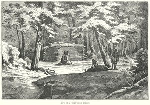 Hütte in einem norwegischen Wald von English School