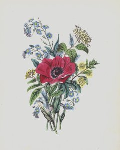 Illustration für Moss Rose Album