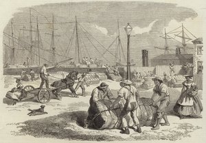 Illustrationen des Krieges in Amerika von English School