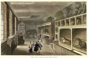 Innenansicht von Politos Royal Menagerie, Exeter Change, Strand, 1812