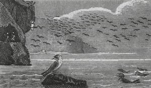 Isle of Man von English School