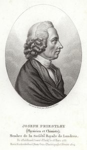 Joseph Priestley von English School