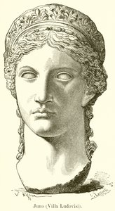 Juno von English School