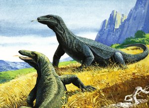 Komodowaran