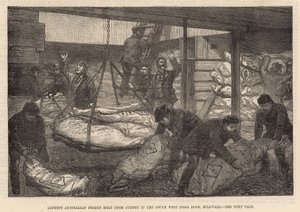 Entladen von australischem Tiefkühlfleisch im Südwestindischen Dock, Millwall