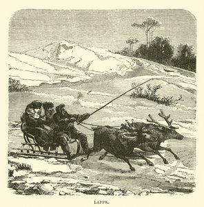 Lappen von English School