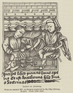 Vorlesung über Anatomie