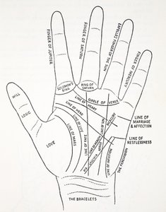 Linien der Hand