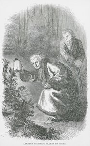 Linnaeus studiert Pflanzen bei Nacht (Gravur) von English School