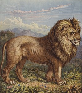 Löwe von English School