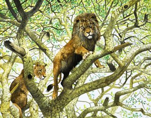 Löwe und Löwin auf einem Baum von English School