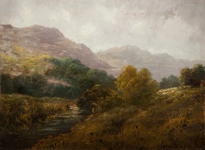 Tieflandlandschaft