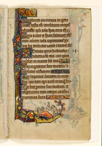 MS 1-2005, fol. 22r: Der Affenarzt und sein Bärenpatient, Randdekoration aus dem Macclesfield Psalter, Use of Sarum, Ostanglien, um 1330