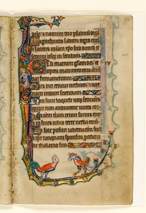 MS 1-2005, fol. 29r: Zwei vogelähnliche Grotesken, Randdekoration aus dem Macclesfield Psalter, Use of Sarum, Ostanglien, um 1330