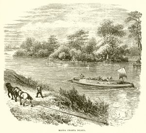 Magna Carta Insel