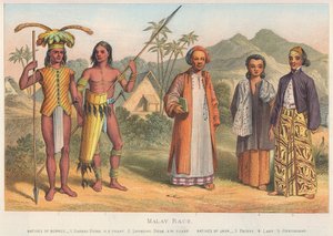 Malaiische Rasse von English School
