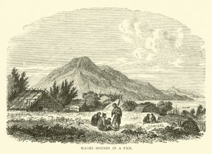 Maori-Häuser in einem Pah