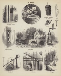 Müller (Gravur) von English School