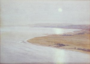 Mondbeschienene Küstenszene