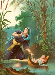 Moses im Korb ausgesetzt von English School