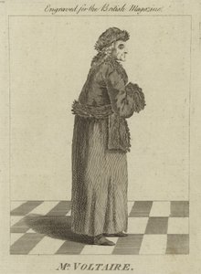 Herr Voltaire von English School