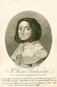 Mrs Hester Tradescant