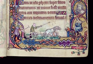 Ms 1-2005, ff.76v-77r: David und der Narr, historisierte Initiale aus dem Macclesfield Psalter, Gebrauch von Sarum, Ostanglien, um 1330 (Detail)