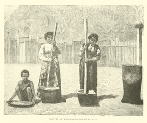 Einheimische von Madagaskar stampfen Reis