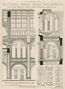 Neues Naturhistorisches Museum, South Kensington, London von English School