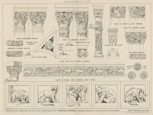 Neues Naturhistorisches Museum, South Kensington, London von English School