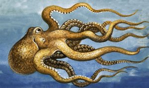 Oktopus
