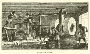 Ölmühle in Griechenland