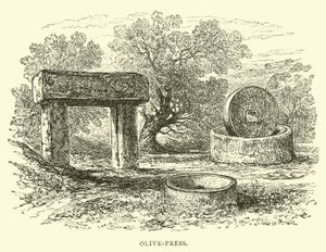 Ölpresse von English School