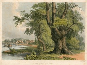 Auf der Themse, nahe Putney, London von English School