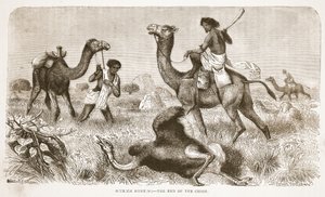Straußenjagd - das Ende der Jagd, Illustration aus der Bildausgabe des Lebens und der Entdeckungen von David Livingstone von J. Ewing Richie, veröffentlicht von A. Fullarton & Co., 1876