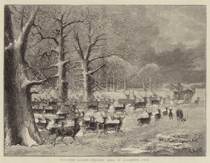Freiluftunterstützung, Hirsche füttern im Richmond Park von English School