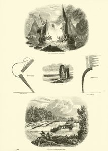 Seite aus dem Bildmuseum der belebten Natur