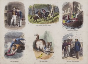 Seite aus dem Attraktiven Bilderbuch
